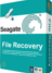 Seagate File Recovery